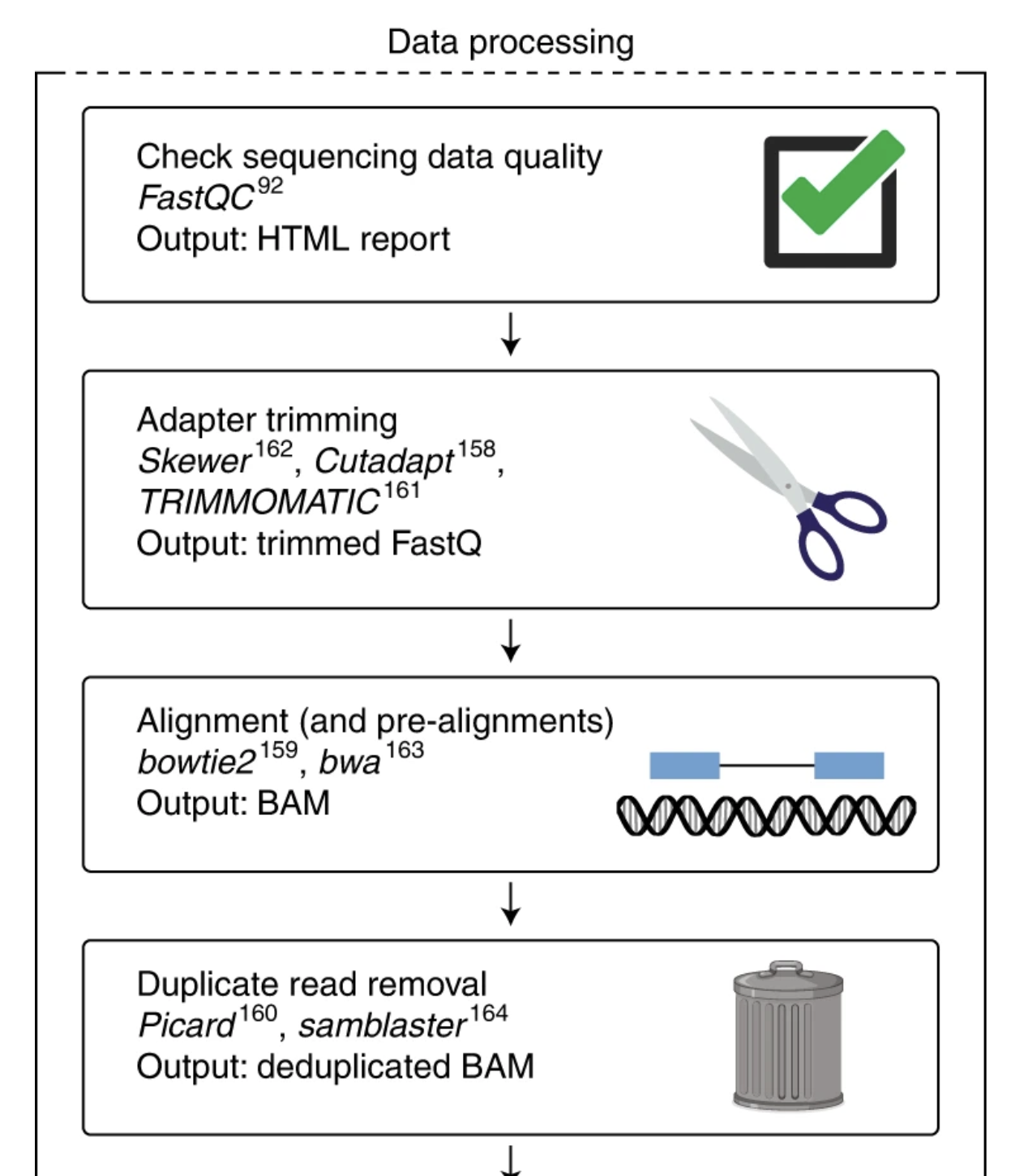 Data processing pipeline flowchart showing FastQC as the first step, followed by adapter trimming, alignment, and duplicate removal
